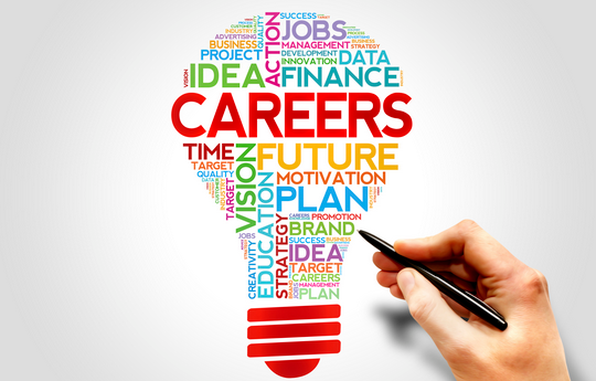 Education And Career Development – The Rising Insights!