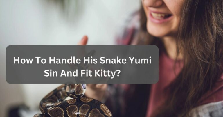 How To Handle His Snake Yumi Sin And Fit Kitty? The Pet Guide!