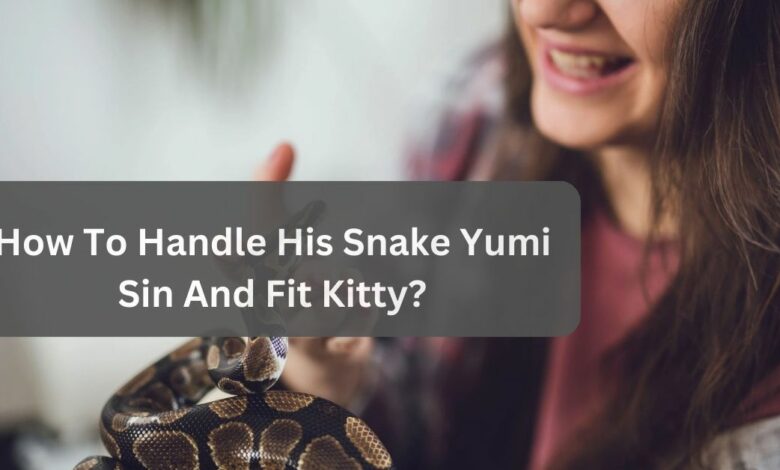 How To Handle His Snake Yumi Sin And Fit Kitty? The Pet Guide!