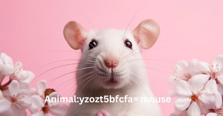 Animalyzozt5bfcfa= mouse