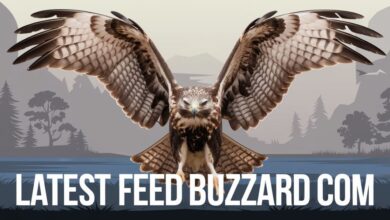 Latest feedbuzzard com