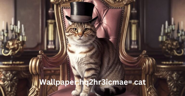 Wallpaper:hq2hr3icmae= cat