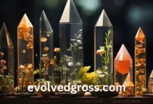 evolvedgross.com