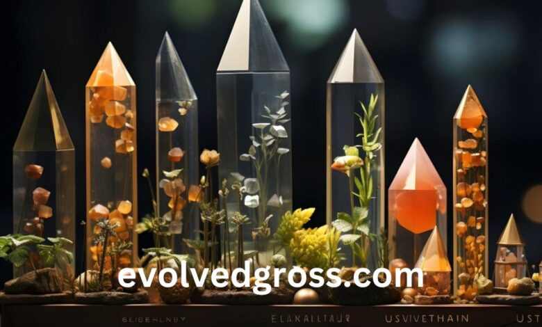 evolvedgross.com