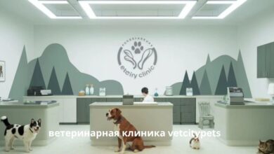 ветеринарная клиника vetcitypets