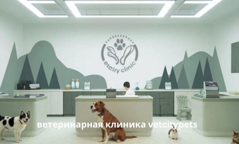 ветеринарная клиника vetcitypets